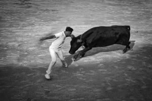 013-Course-Camaguaise_335