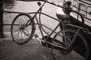 Aus dem Wasser gefischt