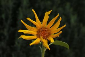 0108