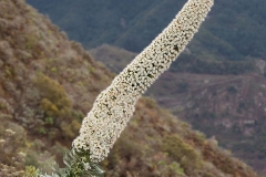 058
