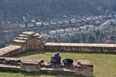 203_T.Bro__ler_Blick_von_der_Wolfsburg_Neustadt