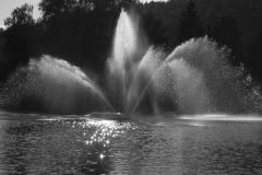 Baerbel Bornhoeft, Wasserfontaene