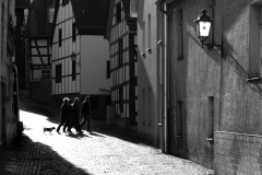 Helmut Plaha, Spaziergang