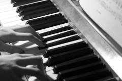 Karin Roos, dissonant