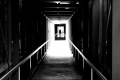 Tanja Speth, zum_Licht