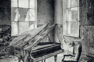 Andre Fischer - Moll