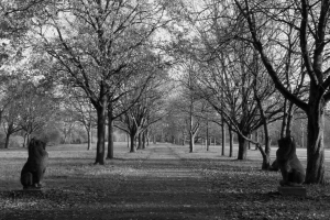 Bärbel_Bornhöft_Herbstbeginn
