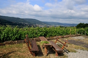 Elke Berberich_Nach der Feier