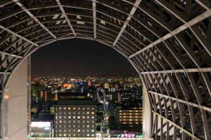 Ullrich_Bernd_Bahnhof mit Blick auf Tokio
