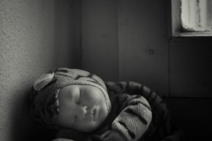 Ulsamer_Frank_Tigerbaby