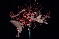 Franziska_Ehrlich_-_Tokyo_Mori_Art_Museum_