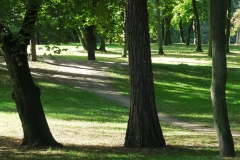 Jürgen Leuner, Park