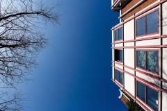 Wolfgang Straub, Blick_nach_oben
