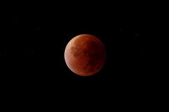 Johannes Wirl, Blutmond
