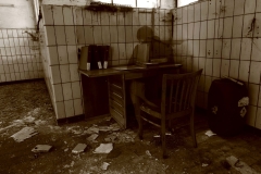 Johannes Wirl, Ghost-worker