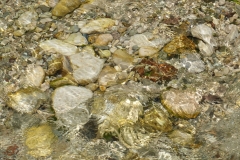 Detlef Paech, Im_Fluss