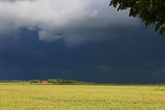 Wolfgang Straub, Nach_dem_Gewitter