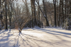 300_Eiszeit_Schneelandschaft