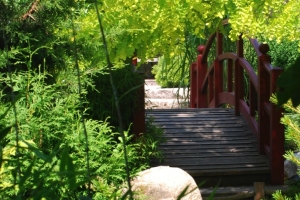 295_Japanische-Brücke
