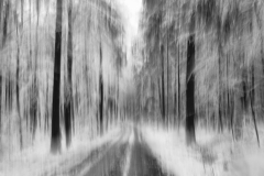Karl-Heinz Link, Winterwald