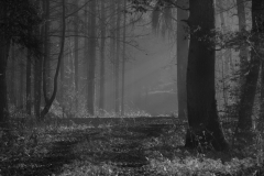 Bärbel Bornhöft, Weg ins Ungewisse