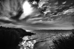 Elke Berberich, am Bodden