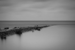 Tanja Speth, weite