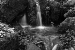 Karl-Heinz Ruppert, Schneewasser