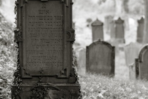 Frank Ulsamer
