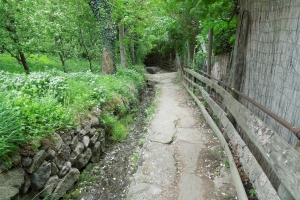 Paech Detlef