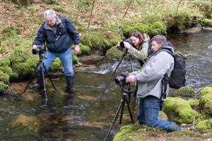 Bachfotografie I_©Andrea Ullrich