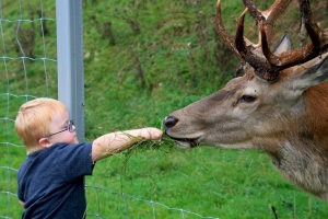 Berberich Elke