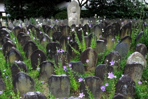 Hirotomo Matsui