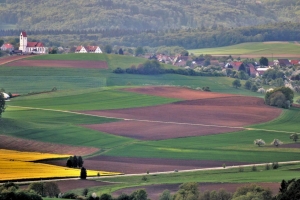 Kuhlen Wolfgang