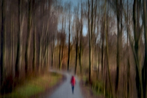 Plaha Helmut