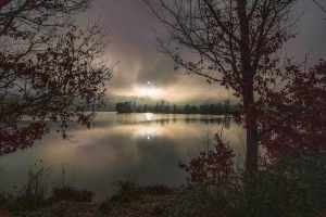 Albert Heinz_ Blick über den See_1