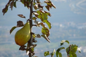 Leuner Juergen