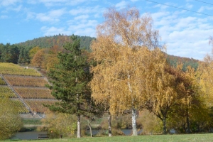Breitenbach-Annemarie