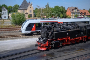 Hauffe-Thomas