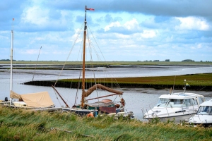 Hauffe-Thomas