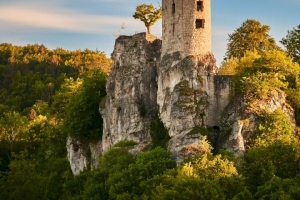 Frenzl-Carsten