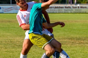 Hauffe-Thomas