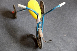 Paech-Detlef