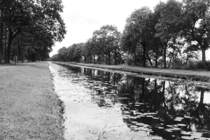 Berberich-Elke