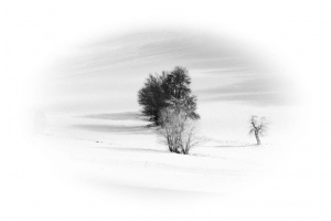 Speth-Tanja