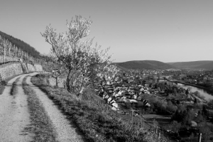 Bornhoeft-Baerbel