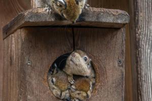 Platz-2-Wolfgang-Straub-Ein-Zimmer-Wohnung