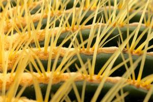 03 3. Platz Achim Lutz: Schwiegermuttersitz