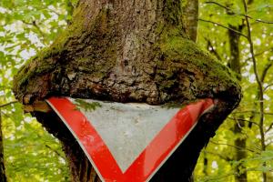 06 6. Platz Achim Lutz: Gefraessig