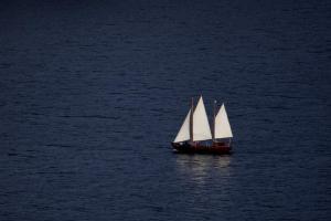 9H0A2278